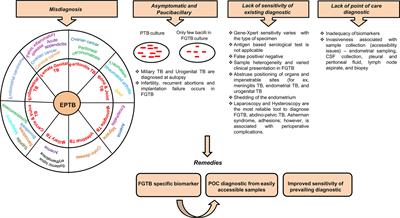 Etiopathogenesis, Challenges and Remedies Associated With Female Genital Tuberculosis: Potential Role of Nuclear Receptors